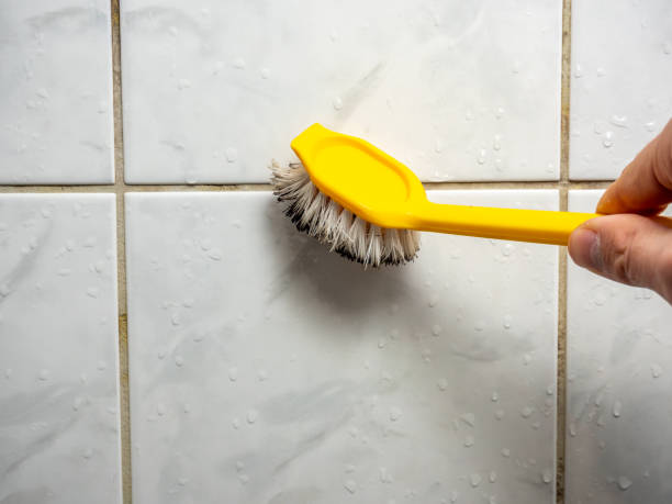 Best Commercial Mold Removal  in Lincoln Park, MI