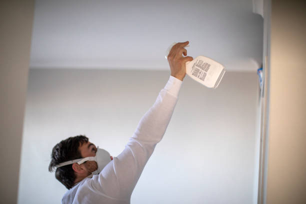 Best Emergency Mold Removal  in Lincoln Park, MI