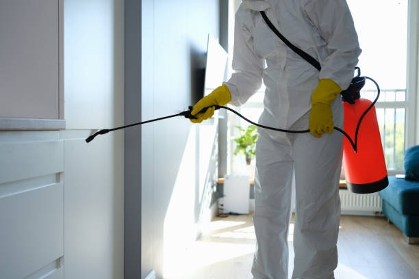 Best Toxic Mold Removal  in Lincoln Park, MI